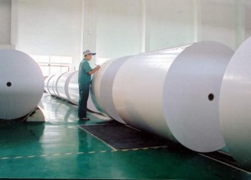 các loại giấy trong in ấn